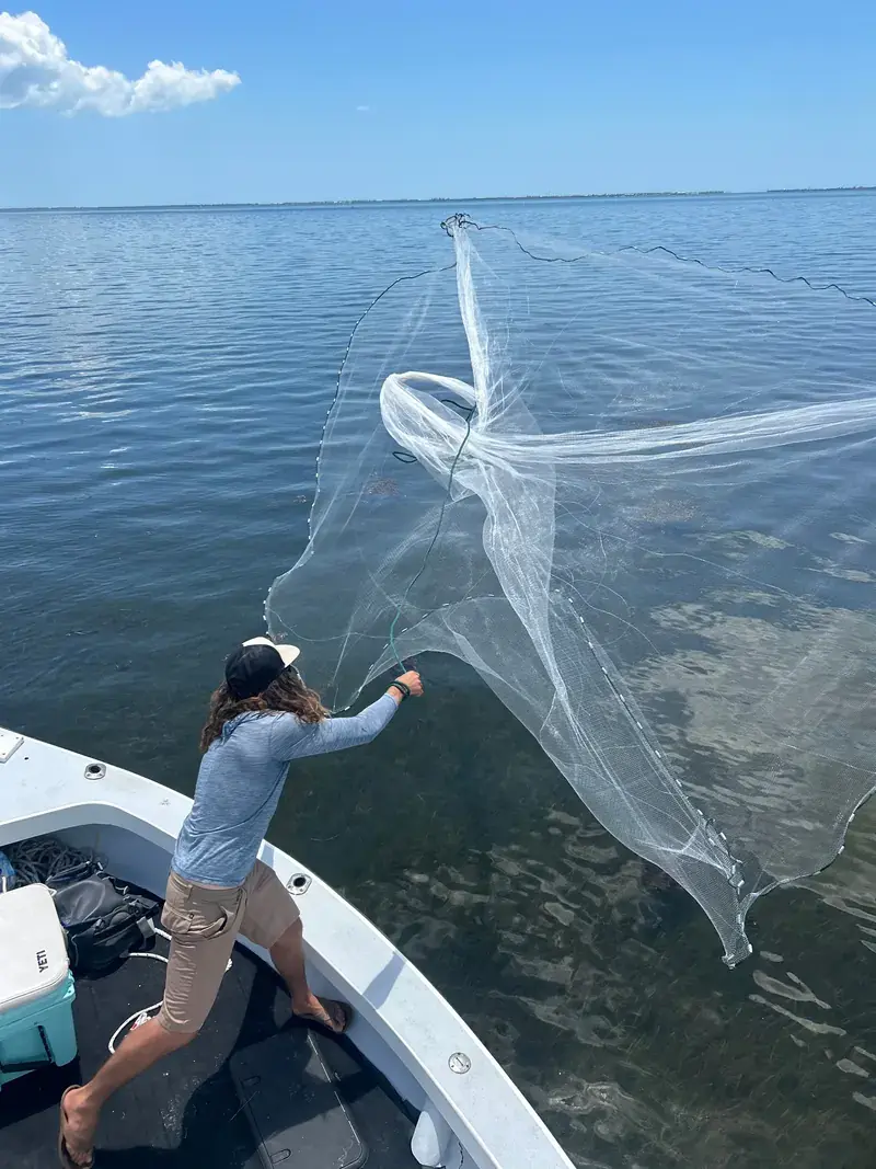 Captain on the boat casting a net