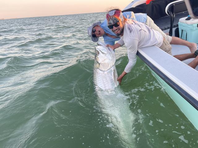 Tarpon Catch