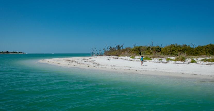 Islands & lunch main