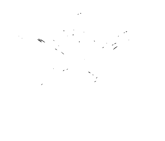 Four Leaf Charters Logo