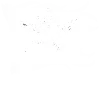 Four Leaf Charters Logo
