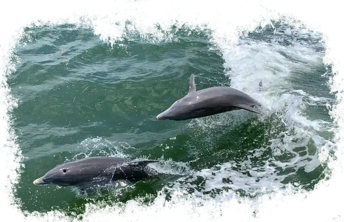 Ocean background