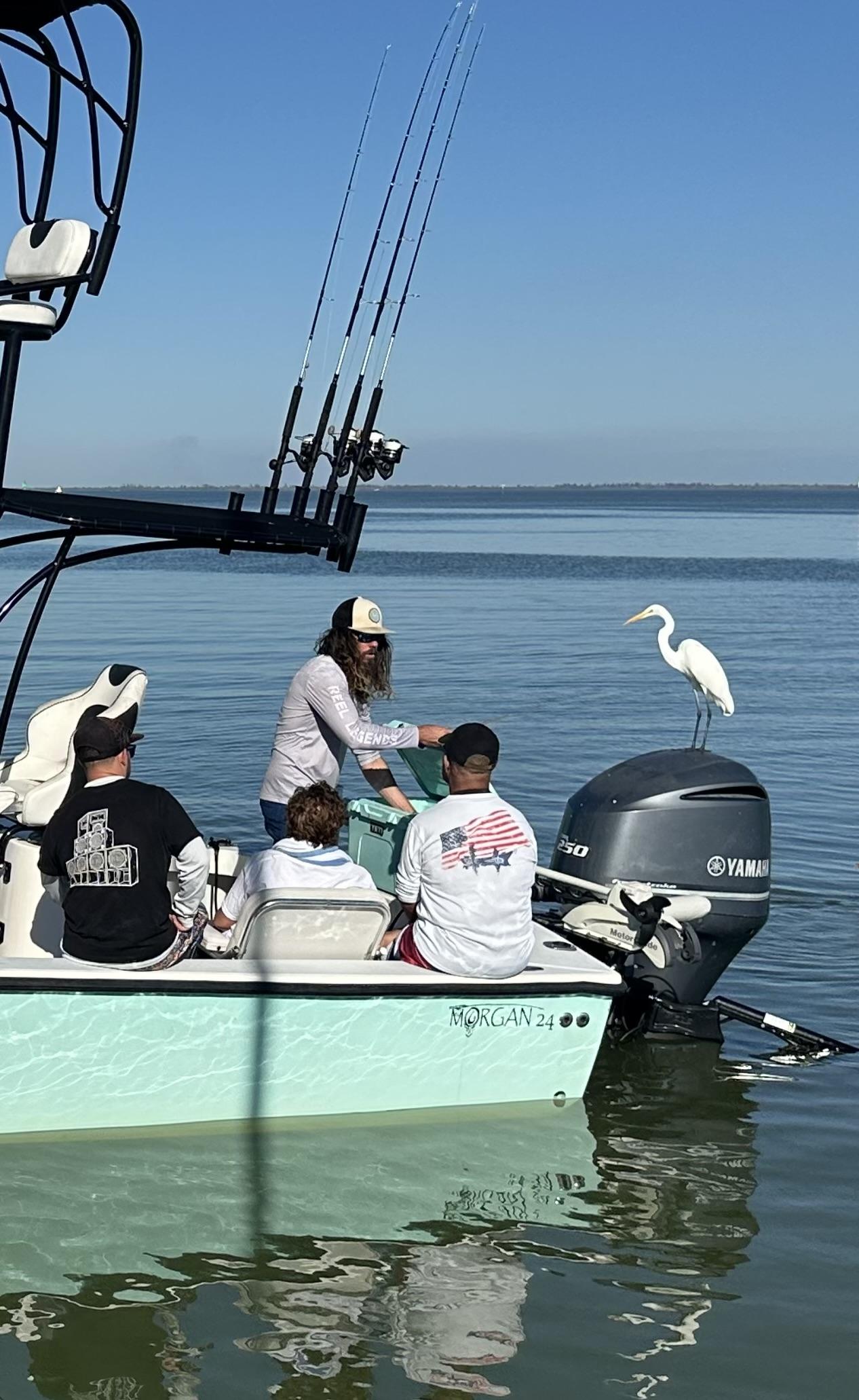 Bird on boat during charter
