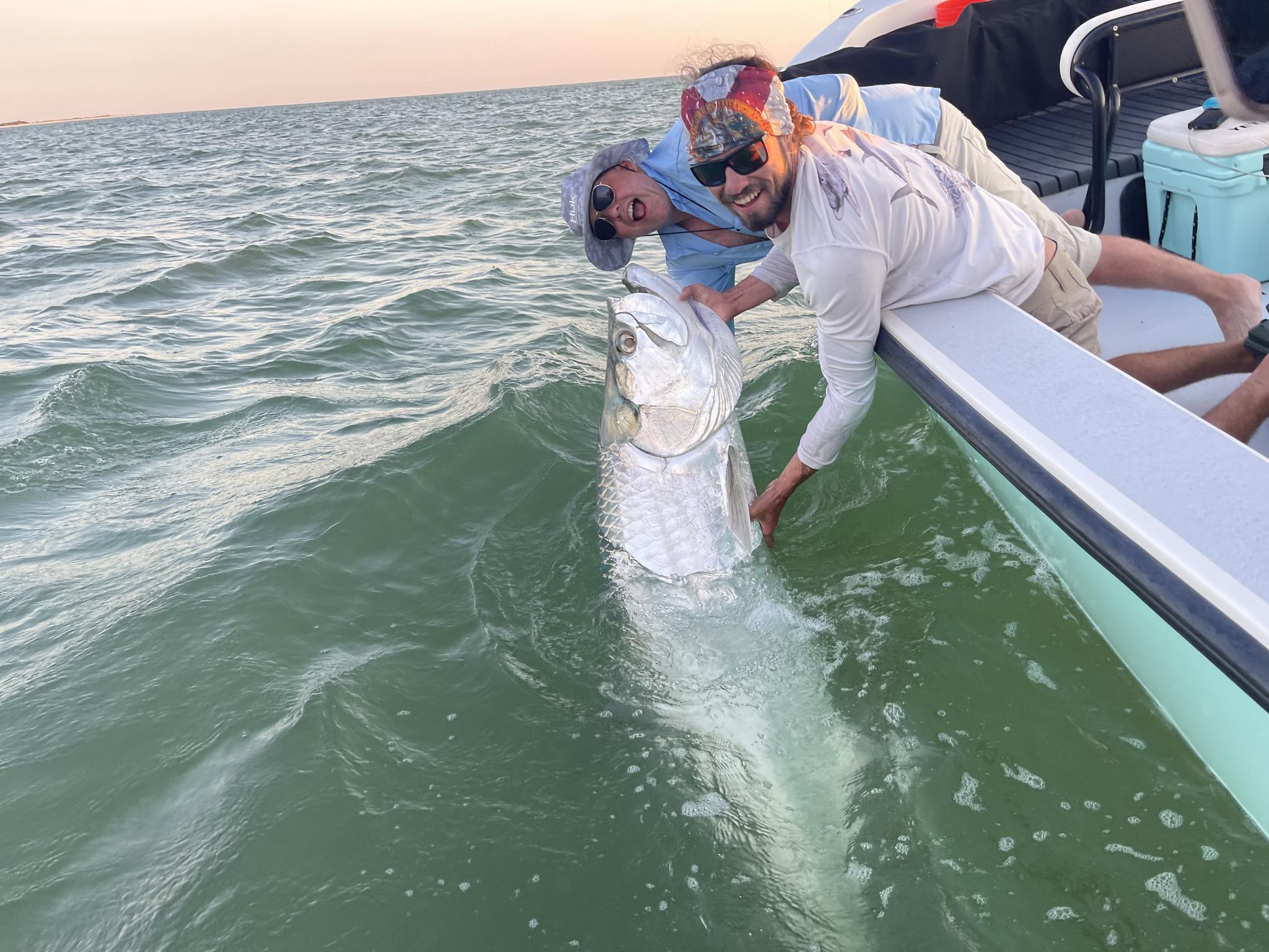 Tarpon catch