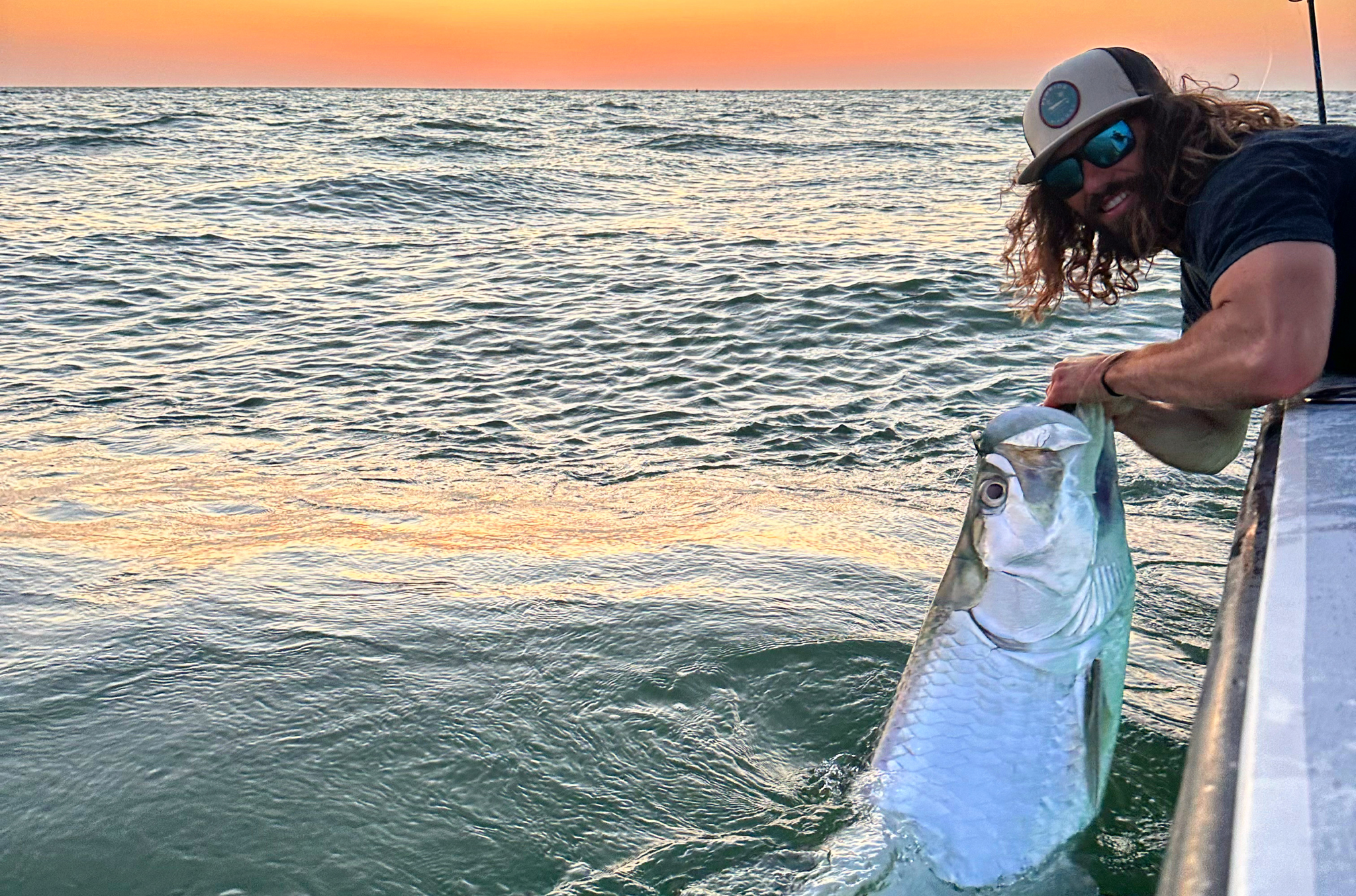 Tarpon at sunset